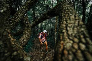 BIB: 
                            <button type="button" onclick="openModal(25676032)" class="btn btn-primary btn-sm float-right btn-popup" data-toggle="modal" data-target=".modal-high-quality">
                        <i class="fas fa-shopping-cart"></i> Add to Cart
                    </button>
                                            <button type="button" onclick="isThisMe(25676032, true)" class="btn btn-success btn-sm float-right btn-popup btn-isme hidden" data-toggle="tooltip" data-placement="bottom" title="นี่คือรูปของคุณใช่ไหม คลิกที่นี่เพื่อเอาเข้าอัลบั้ม">
                        <i class="fas fa-plus"></i> Add to album
                    </button>
                    <button type="button" onclick="isThisMe(25676032, false)" class="btn btn-warning btn-sm float-right btn-popup btn-isnotme hidden">
                        <i class="fas fa-ban"></i> Remove from album
                    </button>